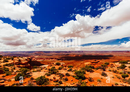 Canyonlands National Park est un parc national situé dans le sud-est de l'Utah. Banque D'Images