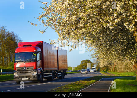 Camion passant route cherry blossom york yorkshire royaume uni Banque D'Images