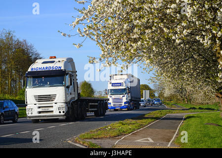 Camion passant route cherry blossom york yorkshire royaume uni Banque D'Images