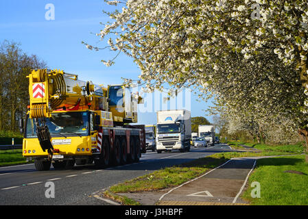 Camion passant route cherry blossom york yorkshire royaume uni Banque D'Images