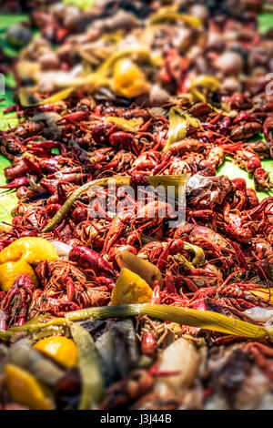 Un style New Orleans langouste ébullition. Banque D'Images