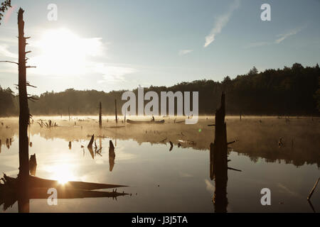 Silhouette d'une fille de canots sur un étang de castors dans le Vermont, aux États-Unis, comme le soleil se lève à travers la brume Banque D'Images