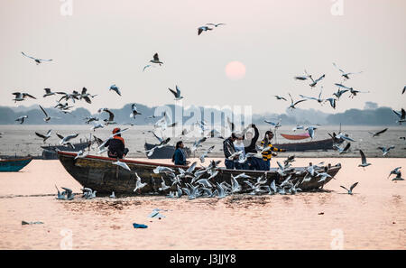 L'alimentation des touristes sur les oiseaux le Gange à Varanasi, en Inde comme le soleil se lève. Banque D'Images