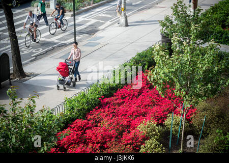 L'entrée d'un immeuble d'appartements dans la région de Chelsea à New York est en pleine floraison avec les azalées et autres plantes le Samedi, Avril 29, 2017. (© Richard B. Levine) Banque D'Images