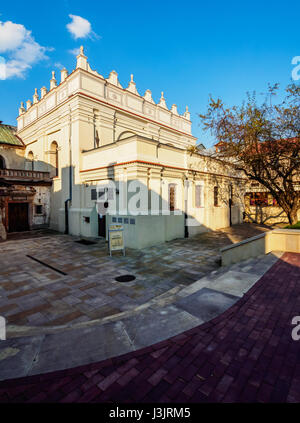 La Pologne, dans la voïvodie de Lublin, Zamosc, vieille ville de Zamosc, Ancienne Synagogue Banque D'Images