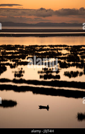 Lever du soleil sur le lac Titicaca au Pérou Banque D'Images