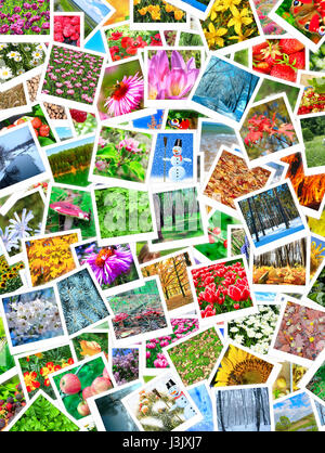 Un grand nombre de belles photos de la nature Banque D'Images