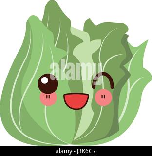 Kawaii légumes laitue image aliments frais Illustration de Vecteur
