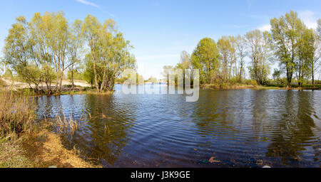 Journée de printemps agréable et calme près de la rivière Dniepr. Les jeunes feuilles sont vert croissant sur les arbres sous un soleil tiède Banque D'Images