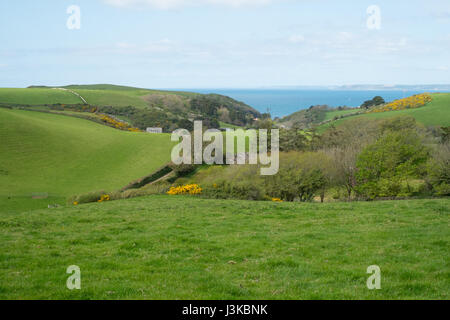 L'espoir des terres agricoles à Barton vers Hope Cove, Kingsbridge, dans le sud du Devon, Angleterre, Royaume-Uni. Banque D'Images