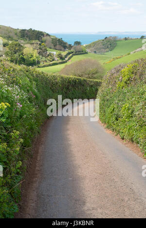 L'espoir des terres agricoles à Barton vers Hope Cove, Kingsbridge, dans le sud du Devon, Angleterre, Royaume-Uni. Banque D'Images