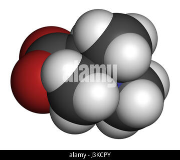 (Bétaïne glycine bétaïne, trimethylglycine) molécule. Initialement trouvé dans le sucre de betterave (Beta vulgaris). Les atomes sont représentés comme des domaines de la convention Banque D'Images