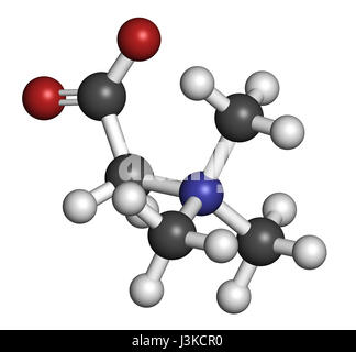 (Bétaïne glycine bétaïne, trimethylglycine) molécule. Initialement trouvé dans le sucre de betterave (Beta vulgaris). Les atomes sont représentés comme des domaines de la convention Banque D'Images