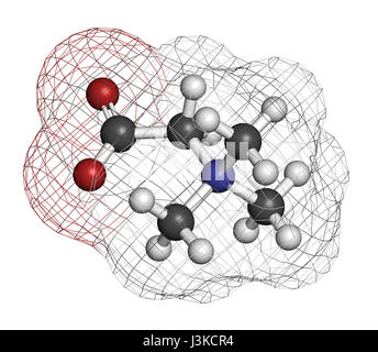 (Bétaïne glycine bétaïne, trimethylglycine) molécule. Initialement trouvé dans le sucre de betterave (Beta vulgaris). Les atomes sont représentés comme des domaines de la convention Banque D'Images