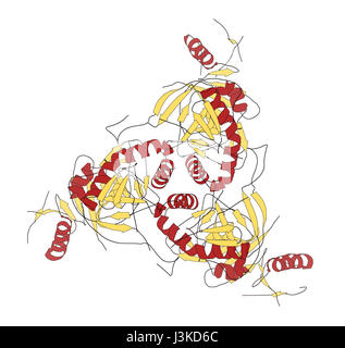 Virus Ebola glycoprotéine (GP), structure moléculaire. Se produit comme des pointes sur le virus ebola ; surface cible pour le développement de vaccins. Modèle cartoon, secondaire Banque D'Images