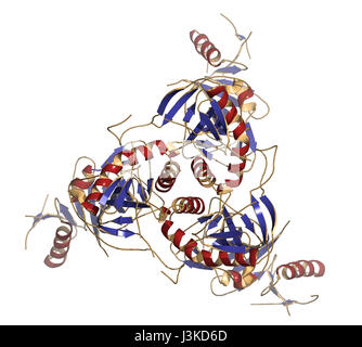 Virus Ebola glycoprotéine (GP), structure moléculaire. Se produit comme des pointes sur le virus ebola ; surface cible pour le développement de vaccins. Modèle cartoon, secondaire Banque D'Images