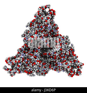 Virus Ebola glycoprotéine (GP), structure moléculaire. Se produit comme des pointes sur le virus ebola ; surface cible pour le développement de vaccins. Montré que les atomes code couleur Banque D'Images