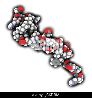 Le liraglutide peptide molécule pharmaceutique. Agoniste du glucagon-like peptide-1 utilisé dans le traitement du diabète et l'obésité. Montré que la couleur des atomes-cod Banque D'Images