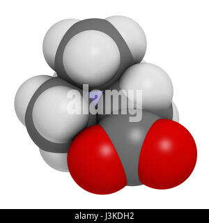 (Bétaïne glycine bétaïne, trimethylglycine) molécule. Initialement trouvé dans le sucre de betterave (Beta vulgaris). Les atomes sont représentés comme des domaines de la convention Banque D'Images