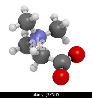 (Bétaïne glycine bétaïne, trimethylglycine) molécule. Initialement trouvé dans le sucre de betterave (Beta vulgaris). Les atomes sont représentés comme des domaines de la convention Banque D'Images