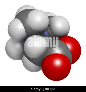 (Bétaïne glycine bétaïne, trimethylglycine) molécule. Initialement trouvé dans le sucre de betterave (Beta vulgaris). Les atomes sont représentés comme des domaines de la convention Banque D'Images