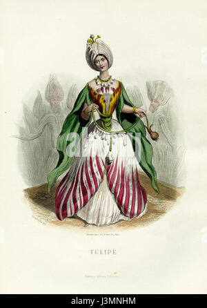 *Grandville fleurs Tulpe* est une œuvre d'art botanique de l'artiste français Grandville, connue pour ses illustrations détaillées de fleurs, dont des tulipes. Cette pièce présente des représentations artistiques de diverses fleurs, mettant en valeur l'approche complexe de Grandville à l'illustration botanique. Banque D'Images