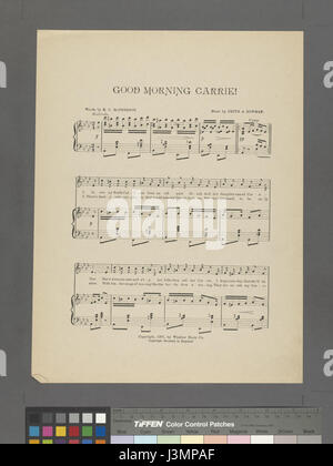 Ce titre fait probablement référence à un livre ou un document de la New York public Library (NYPL) lié à Hadès, présentant potentiellement une œuvre d'art ou une littérature intitulée « Good Morning Carrie ! » avec un numéro d'identification. Banque D'Images
