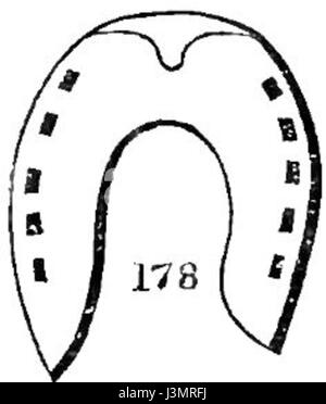 L'chaussures et raquettes 133 chevaux Banque D'Images