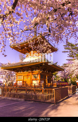 Temple Kitain au printemps à Kawagoe ville Fukuoka au Japon Banque D'Images