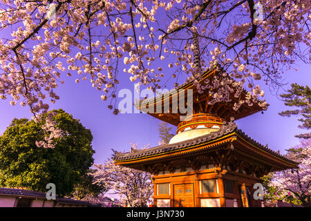 Temple Kitain au printemps à Kawagoe ville Fukuoka au Japon Banque D'Images