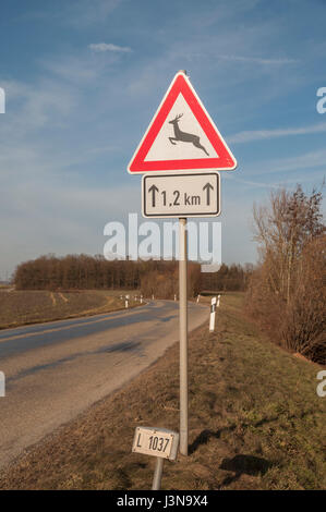 Deer crossing, Schwaebisch Hall, frederikshavn, région Hohenlohe, Bade-Wurtemberg, Allemagne, Heilbronn-Franconia Banque D'Images