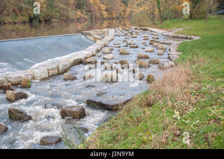 Passage du poisson, vallée de Kocher, Schwaebisch Hall, région Hohenlohe, Bade-Wurtemberg, Allemagne, Heilbronn-Franconia Banque D'Images