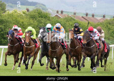 Frais pour les courses de Redcar line Banque D'Images