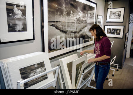 Florida the Everglades, Ochope, Tamiami Trail, Big Cypress Gallery, Clyde Butcher, Photographie noir et blanc, photographe, paysage, nature sauvage, galerie, gal Banque D'Images