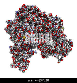 Virus Ebola glycoprotéine (GP), structure moléculaire. Se produit comme des pointes sur le virus ebola ; surface cible pour le développement de vaccins. Montré que les atomes code couleur Banque D'Images