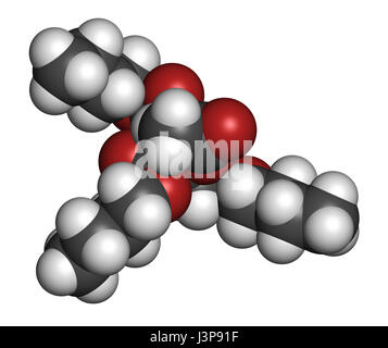 Acétyl tributyl citrate (ATBC) molécule de plastifiant. Alternative aux plastifiants phtalates biodégradables. Les atomes sont représentés comme des sphères avec conven Banque D'Images