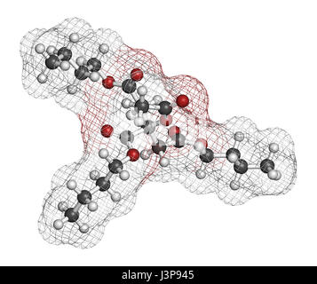 Acétyl tributyl citrate (ATBC) molécule de plastifiant. Alternative aux plastifiants phtalates biodégradables. Les atomes sont représentés comme des sphères avec conven Banque D'Images