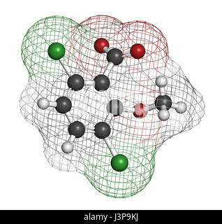 Molécule d'herbicide dicamba. Utilisé dans la lutte contre les mauvaises herbes. Les atomes sont représentés comme des sphères classiques avec codage couleur : blanc (hydrogène), carbone (gris), ox Banque D'Images