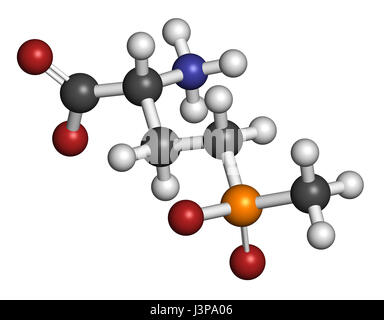 Glufosinate (herbicide non sélectif) de la phosphinothricine molécule. Les cultures transgéniques (OGM) ont été créés qui sont résistantes au glufosinate. Les atomes sont Banque D'Images