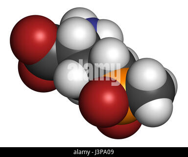 Glufosinate (herbicide non sélectif) de la phosphinothricine molécule. Les cultures transgéniques (OGM) ont été créés qui sont résistantes au glufosinate. Les atomes sont Banque D'Images