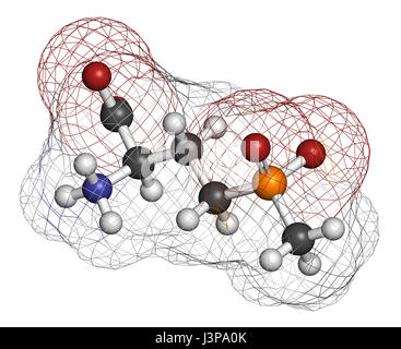 Glufosinate (herbicide non sélectif) de la phosphinothricine molécule. Les cultures transgéniques (OGM) ont été créés qui sont résistantes au glufosinate. Les atomes sont Banque D'Images