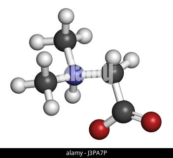 Dimethylglycine (DMG) molécule. Dérivés méthylés de glycine, utilisé dans les suppléments alimentaires améliorant la performance. Les atomes sont représentés comme sphe Banque D'Images