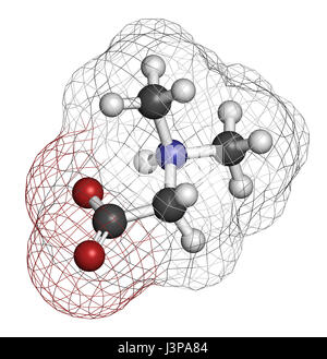 Dimethylglycine (DMG) molécule. Dérivés méthylés de glycine, utilisé dans les suppléments alimentaires améliorant la performance. Les atomes sont représentés comme sphe Banque D'Images