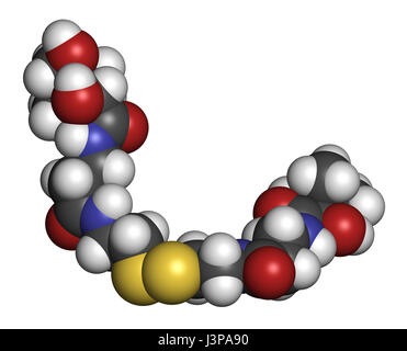 Pantethine (dimère de la vitamine B5). Utilisé dans les suppléments alimentaires. Les atomes sont représentés comme des sphères avec codage couleur classiques : l'hydrogène (whit Banque D'Images