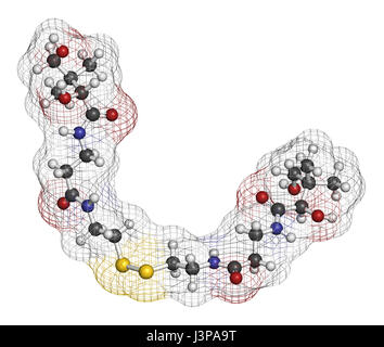 Pantethine (dimère de la vitamine B5). Utilisé dans les suppléments alimentaires. Les atomes sont représentés comme des sphères avec codage couleur classiques : l'hydrogène (whit Banque D'Images
