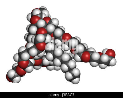 Polysorbate 80 surfactant et émulsifiant molécule. Utilisé dans l'alimentation (E433), les cosmétiques et les médicaments. Les atomes sont représentés comme des sphères de coopération classiques Banque D'Images