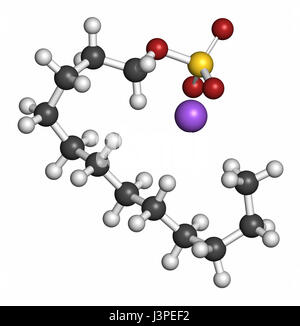 Le dodécylsulfate de sodium (SDS, laurylsulfate de sodium) molécule de surfactant. Couramment utilisé dans les produits de nettoyage. Les atomes sont représentés comme des sphères avec con Banque D'Images