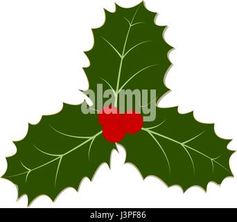 Les feuilles de houx et Berries-Three holly traditionnelles feuilles et fruits rouges Illustration de Vecteur