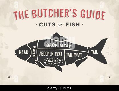 Coupe de viande. Poster Butcher et schéma de régime - les poissons. La typographie vintage à la main. Vector illustration Illustration de Vecteur