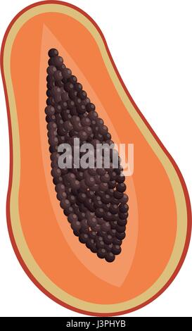La moitié des fruits tropicaux papaye design délicieux Illustration de Vecteur